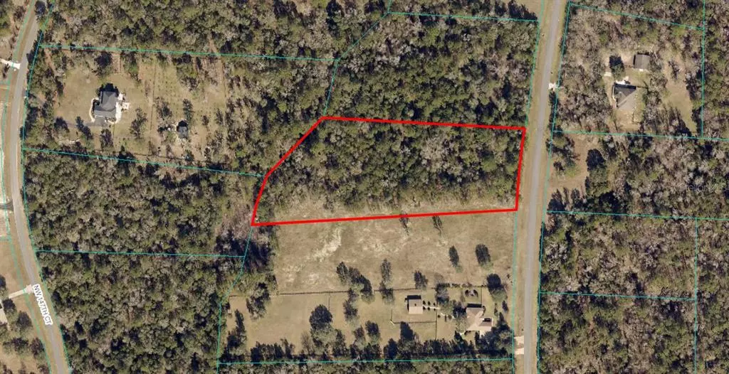 Williston, FL 32696,TBD NW 145TH AVE