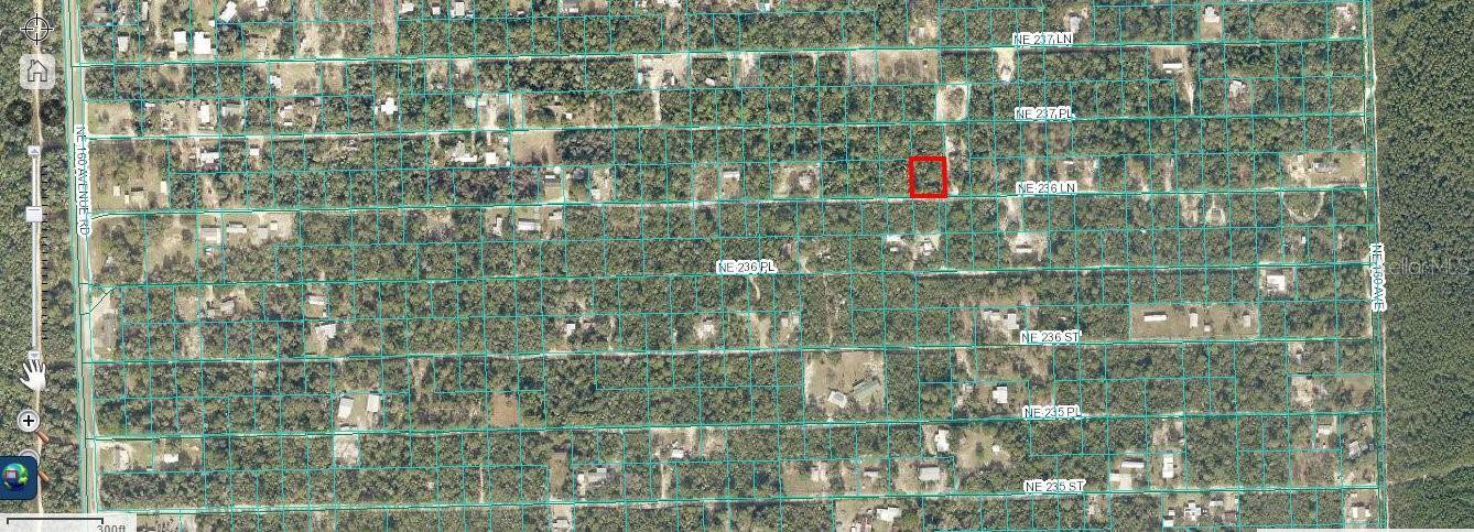 00 SE 236 LN, Fort Mc Coy, FL 32134