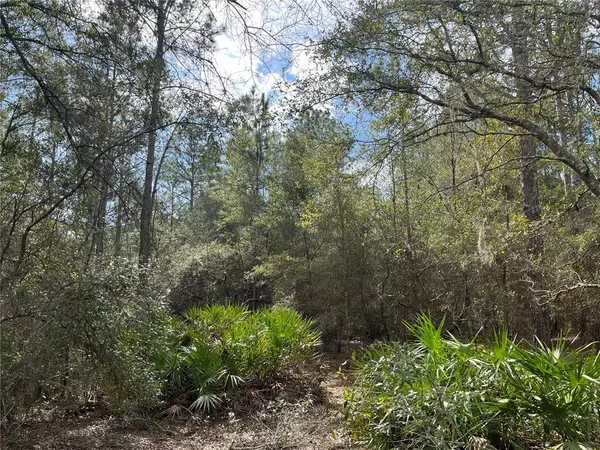 Dunnellon, FL 34431,Lot 10 SW SOUTH BEACH CT