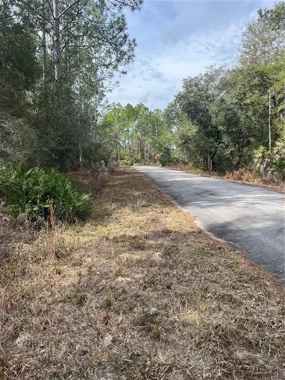 Dunnellon, FL 34431,Lot 10 SW SOUTH BEACH CT