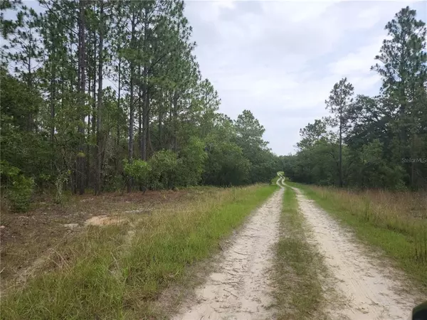 Dunnellon, FL 34432,Lot 10 SW 123RD TER