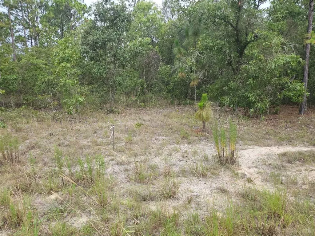 Dunnellon, FL 34432,Lot 10 SW 123RD TER