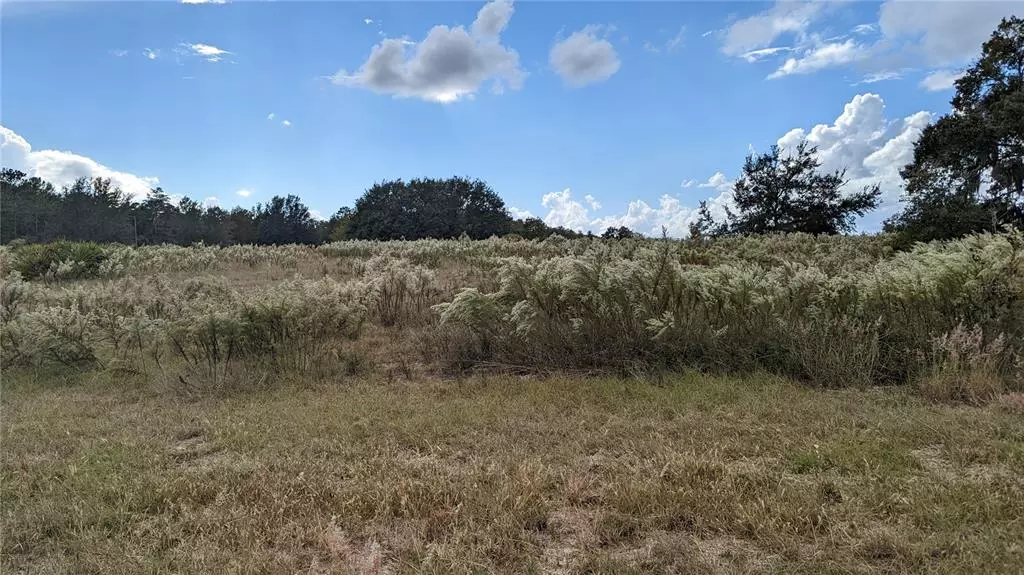 Ocala, FL 34473,TBD SW 54TH AVENUE RD