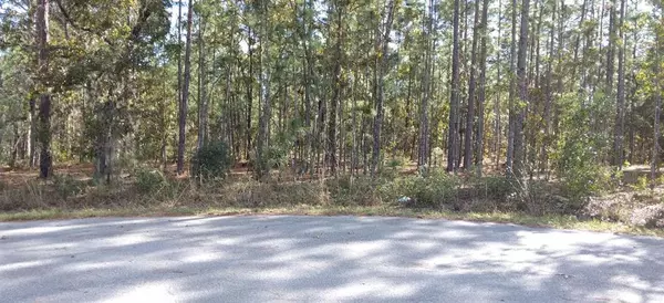 Ocala, FL 34472,Lot 6 LOCUST LANE CRSE