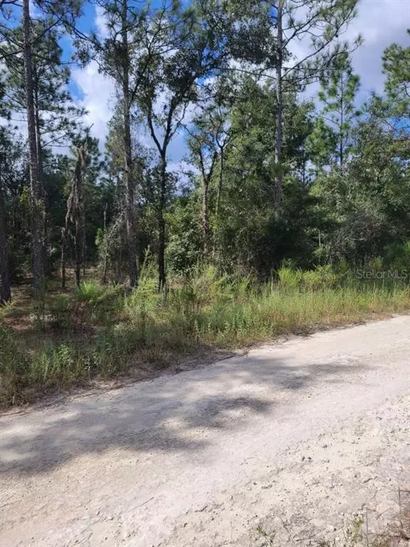 Ocala, FL 34481,lot 12 SW 38TH ST RD