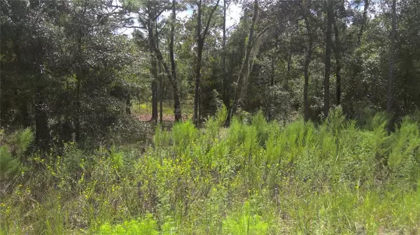 Ocala, FL 34481,lot 12 SW 38TH ST RD