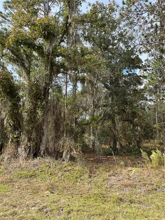 Dunnellon, FL 34431,00 SE 129TH CT