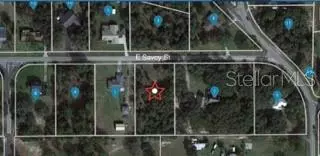 Lecanto, FL 34461,786 E SAVOY ST