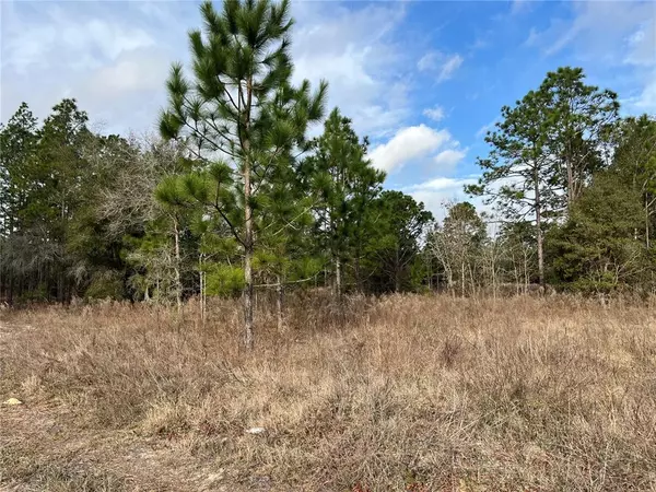 Dunnellon, FL 34431,Lot 65 SW 209TH AVE