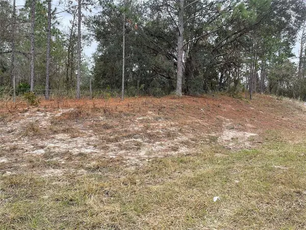 Morriston, FL 32668,Lot 1 SE COUNTY ROAD 337