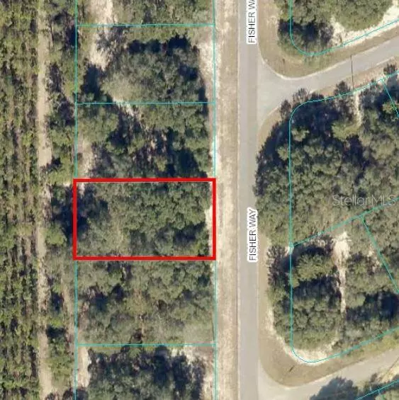 Ocklawaha, FL 32179,TBD FISHER WAY