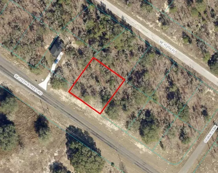 TBD SE 113TH STREET RD, Ocklawaha, FL 32179