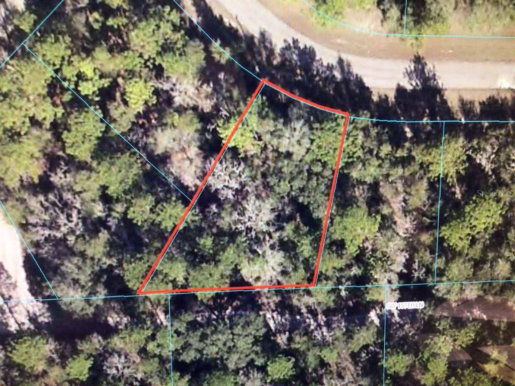 Ocala, FL 34473,SW 60TH CIRCLE