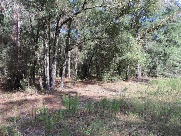 Ocala, FL 34481,Lot 14 SW 28TH LN