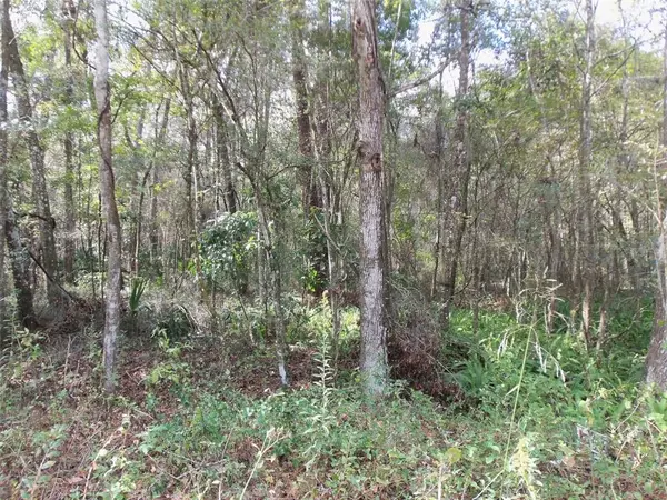 Ocala, FL 34481,Lot 8 SW 15TH ST