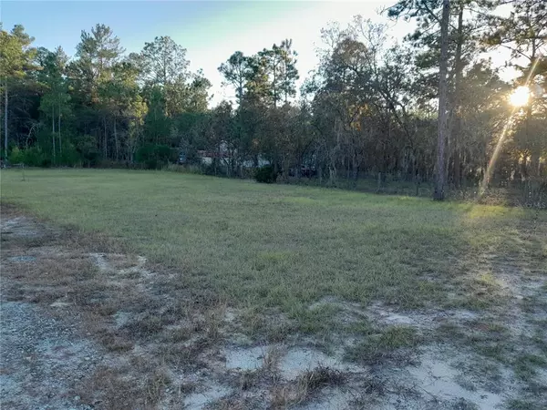 Williston, FL 32696,14150 SE 6TH LN