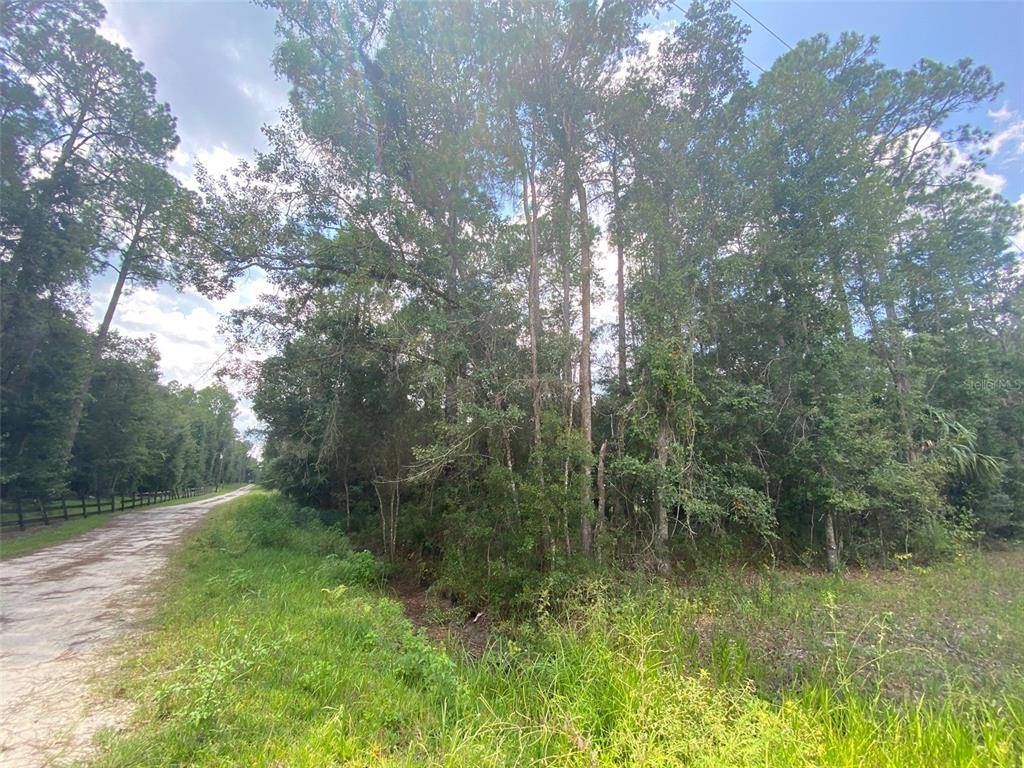 6711 NE 137TH PL,  Citra,  FL 32113