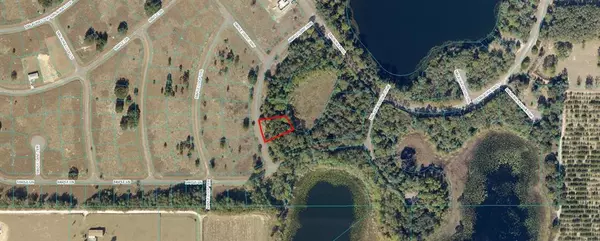 Ocklawaha, FL 32179,Lot 6 MAPLE LANE RUN