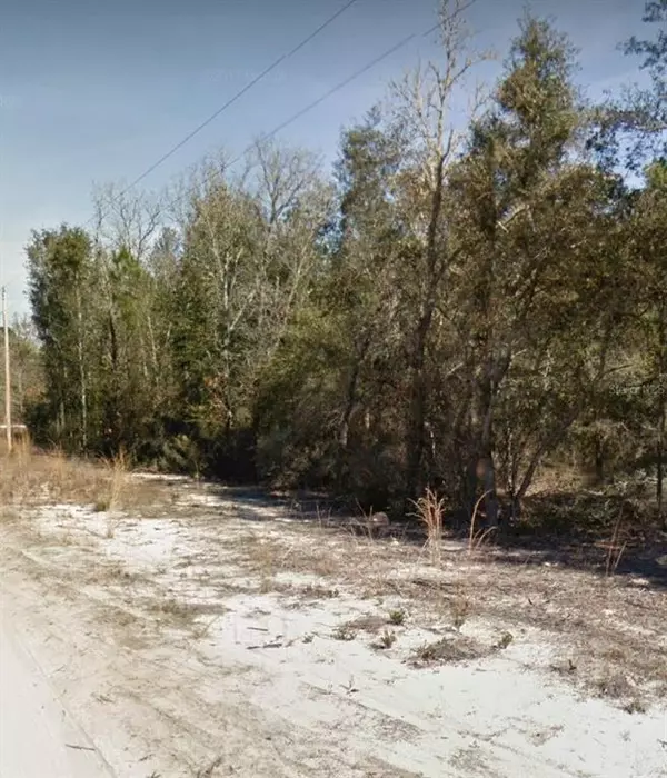 Archer, FL 32618,000 NE 107TH CT