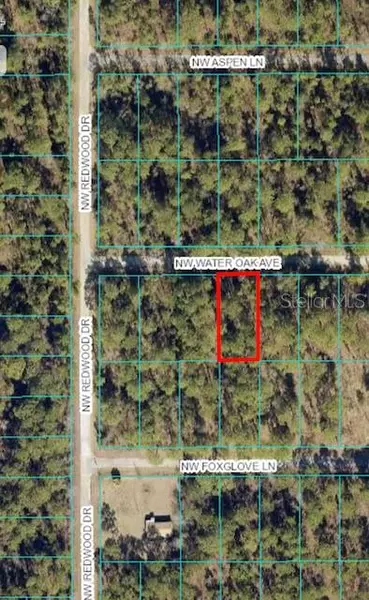 TBD NW WATER OAK AVE, Dunnellon, FL 34431