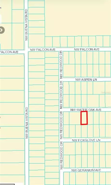 Dunnellon, FL 34431,TBD NW WATER OAK AVE