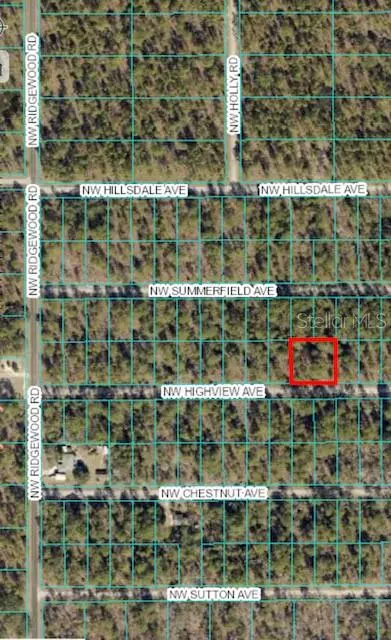 Dunnellon, FL 34431,TBD HIGHVIEW AVE