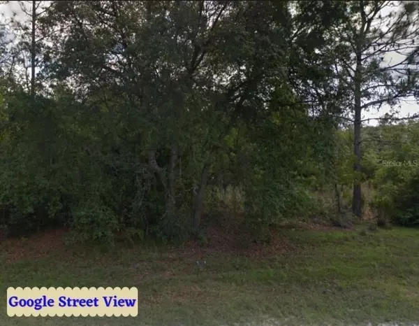 Archer, FL 32618,TBD NE 105TH AVE