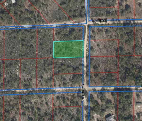 Bronson, FL 32621,tbd NE 100TH AVE