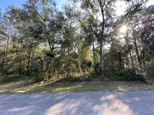 Crystal River, FL 34428,9604 W CLEVELAND LN