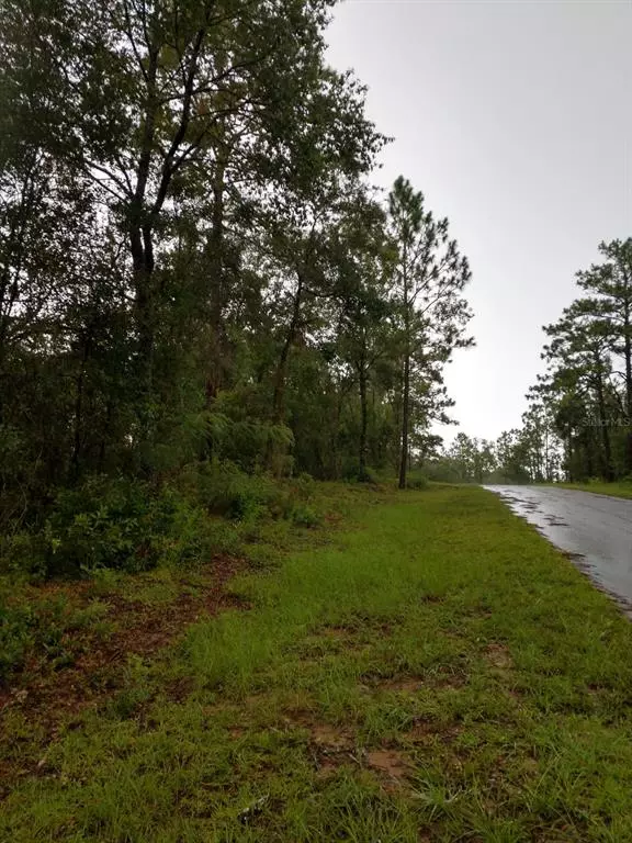 Williston, FL 32696,00 NE 154TH TER