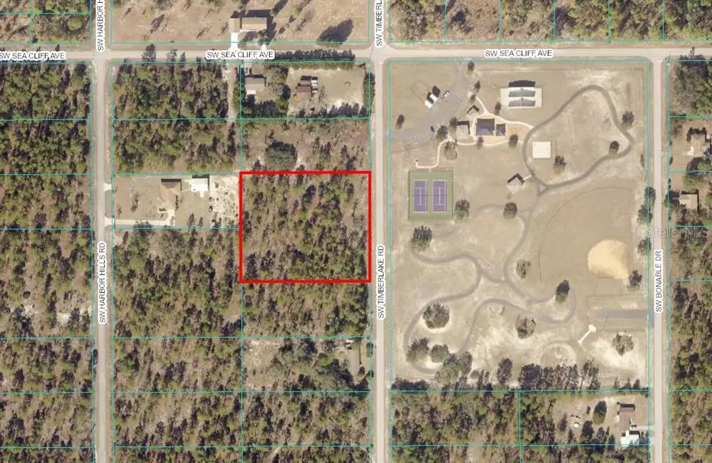 Dunnellon, FL 34431,TBD SW TIMBERLAKE RD