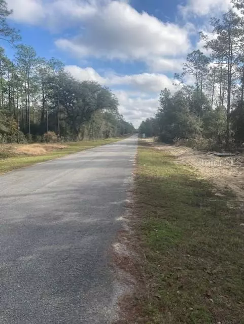 Dunnellon, FL 34431,0 SW BLUEBERRY LANE