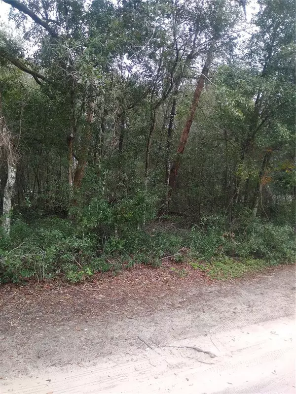 Silver Springs, FL 34488,00 NE 147TH COURT