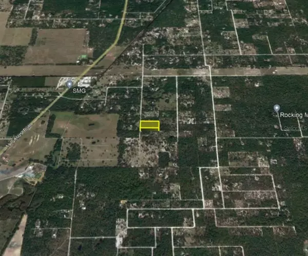 Dunnellon, FL 34433,6333 N GOLD LEAF PT