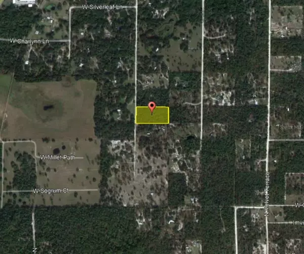 Dunnellon, FL 34433,6333 N GOLD LEAF PT