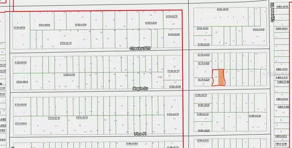 00 MAPLE DR, Interlachen, FL 32148
