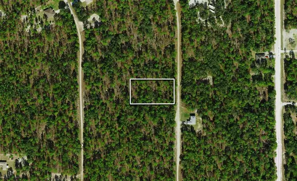 TBD SW 123RD AVE RD, Ocala, FL 34481