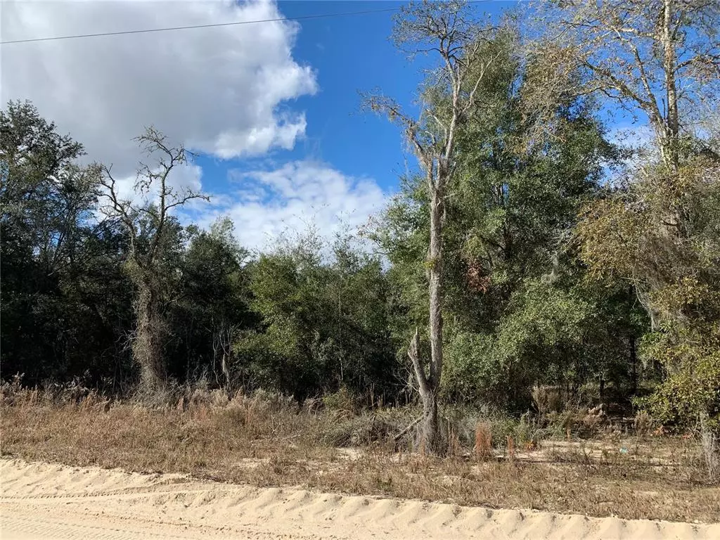 Williston, FL 32696,TBD SE 150 AVE