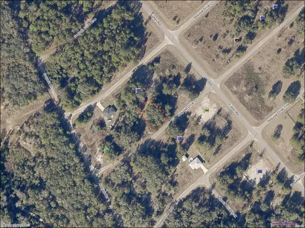 TBD SEQUOIA DRIVE CT, Ocklawaha, FL 32179