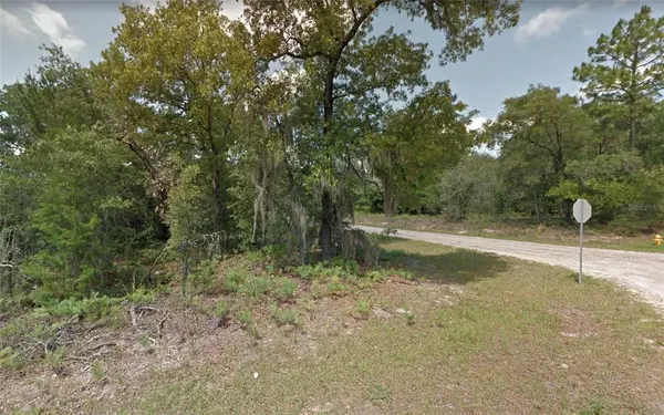 Citrus Springs, FL 34433,8038 N VOYAGER DR