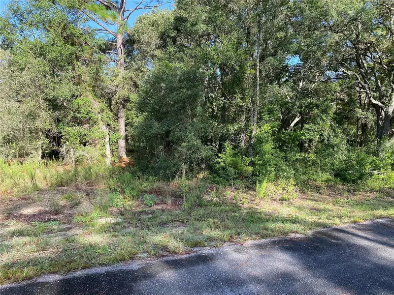 SW BREEZY POINT DR, Dunnellon, FL 34431