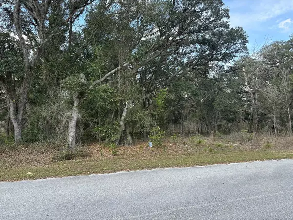 Dunnellon, FL 34431,00 SW HARBOR HILLS RD