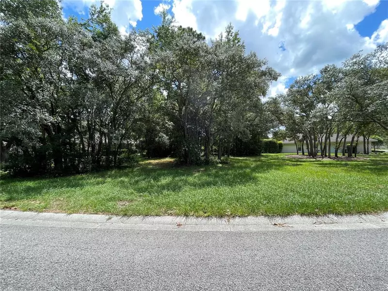 3421 N BENT TREE PT, Lecanto, FL 34461