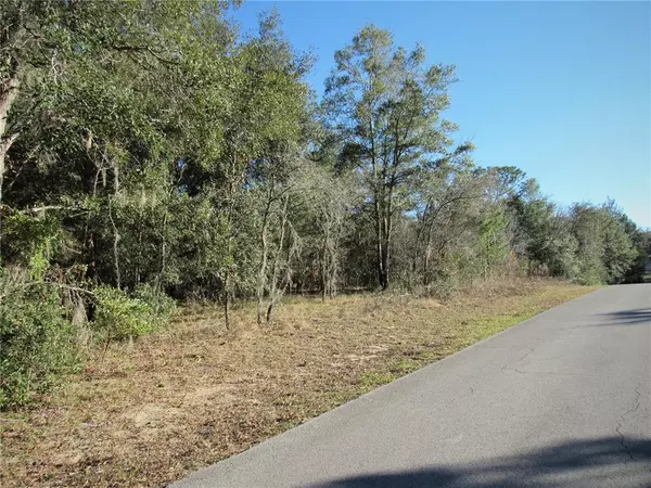 Dunnellon, FL 34431,0000 SW 204 CT