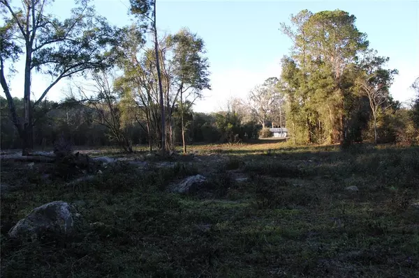 Ocala, FL 34481,TBD W HWY 40