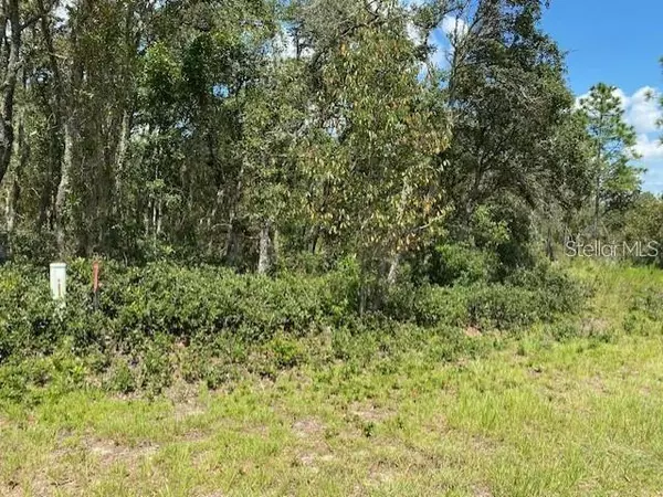 Dunnellon, FL 34431,SW NECTARINE LN