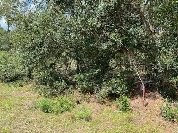 Dunnellon, FL 34431,SW NECTARINE LN