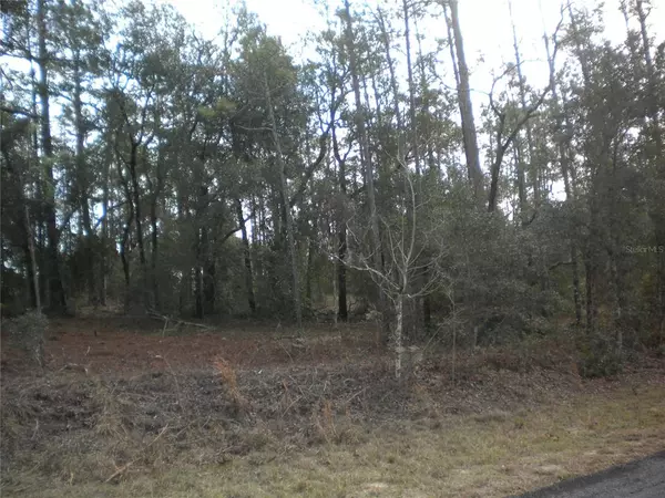 Dunnellon, FL 34431,LOT2 NW COUMBINE AVE