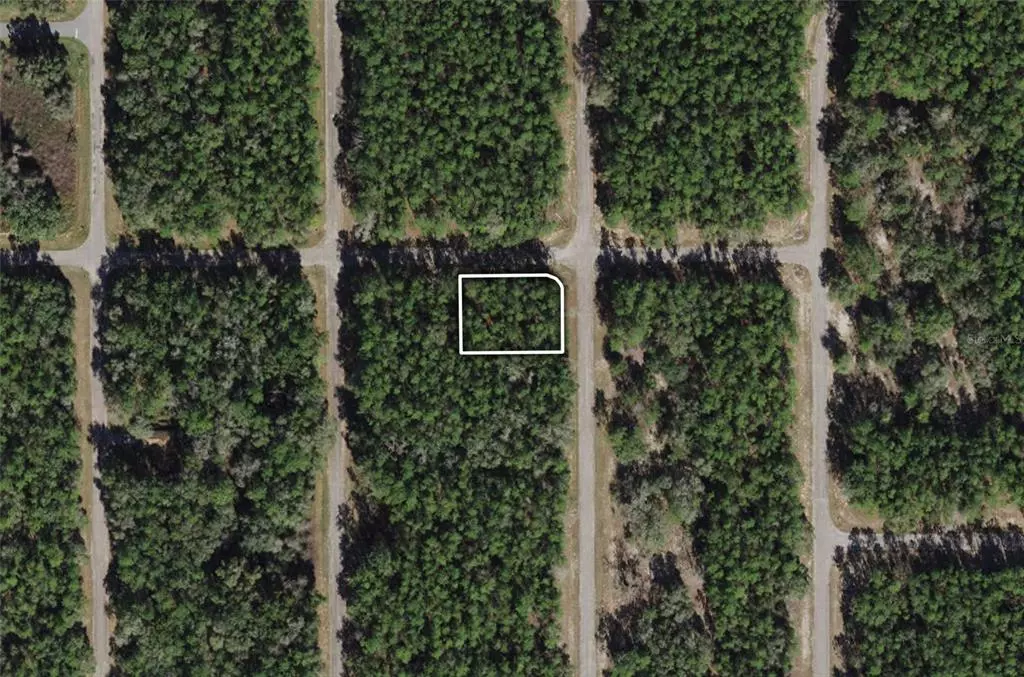 Citrus Springs, FL 34434,8846 N BAMBURY TER