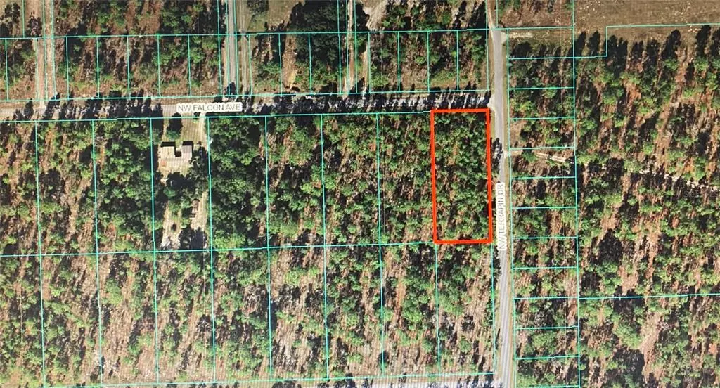 TBA NW FALCON AVENUE, Dunnellon, FL 34431